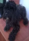 Rax
