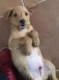 Tobi 