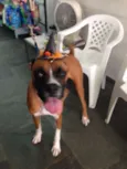 Bartô