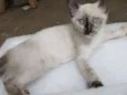 Ororo