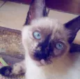 Ororo