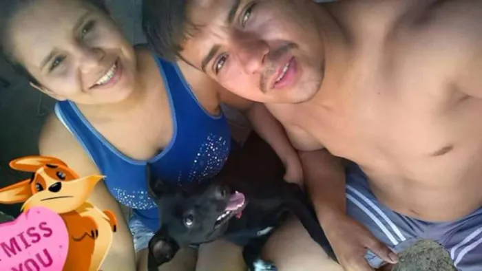 Cachorro ra a Pixi com fox idade 7 a 11 meses nome Nina