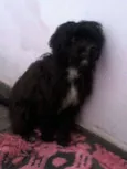 Severina