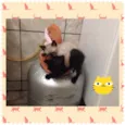 Joao