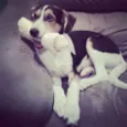 Theodore