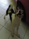 Theodore