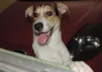 Theodore