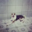 Theodore