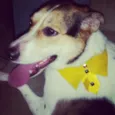 Theodore