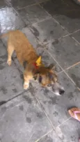 Ralf