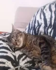 Tony