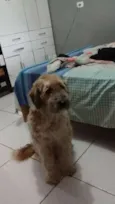Bettoven