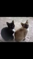 Lalá & Lua