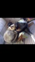Lalá & Lua 