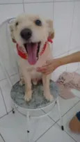 LUPI E TEO