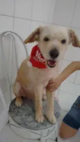 LUPI E TEO