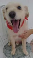 LUPI E TEO