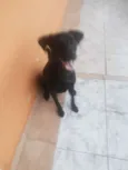 Sophia