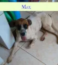 Max