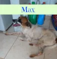 Max