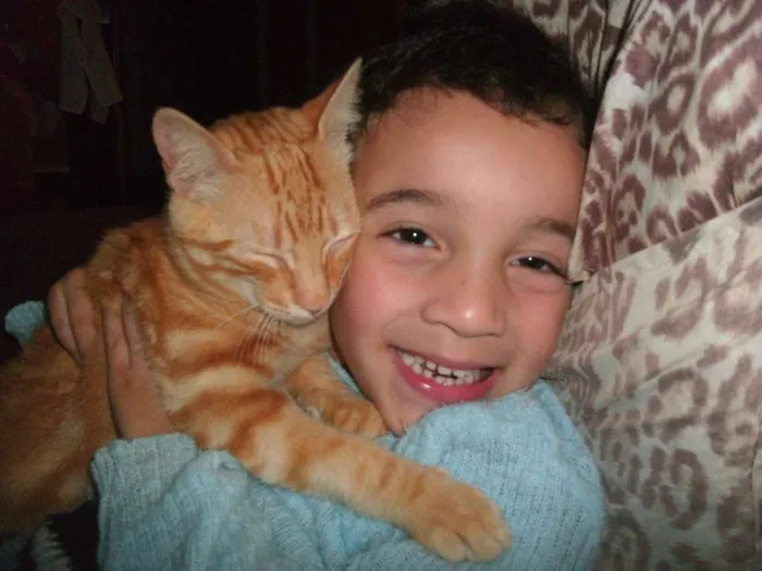 Gato ra a viralata idade 1 ano nome mingau