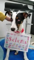 Selena
