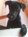 Sophia