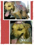 BELINHA