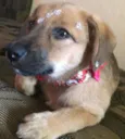 Valentina