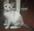 Huguinho e Zezinho