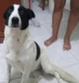 Bolinha