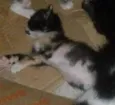 Não sei