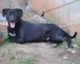 PATHOLY, bebezão!