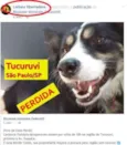 Pandora GRATIFICA