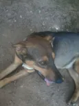 linda