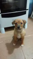 Princesa