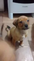 Princesa