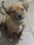 Princesa