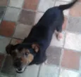 TJ