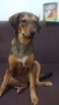Nutella