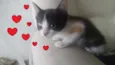 Suri e Luma