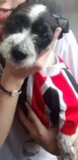 Tobby