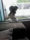 Nina
