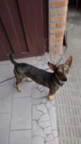 Nininho