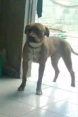 Spike