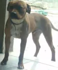 Spike