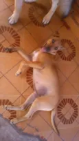 Mel