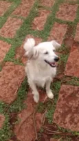Faísca e Fumaça
