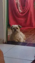 Boby
