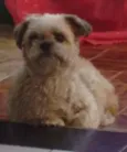 Boby